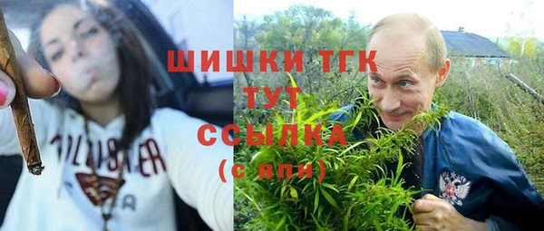 молекула духа Балахна