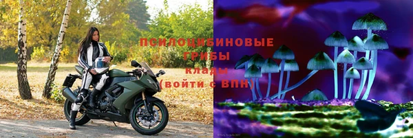 молекула духа Балахна