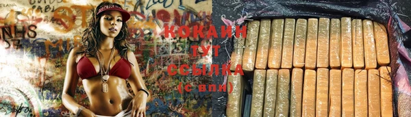 молекула духа Балахна